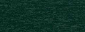 P66 Verde muschio